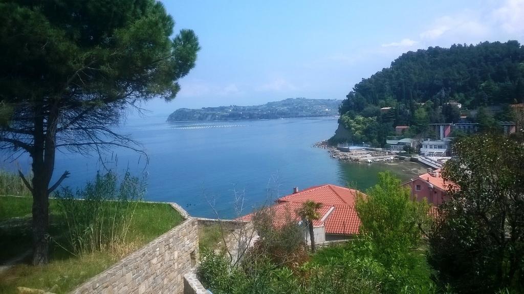Dom Mladinske Knjige Fiesa Ξενοδοχείο Πιράν Εξωτερικό φωτογραφία